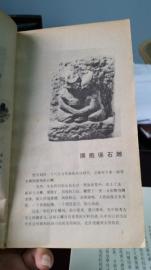 卫的名字寓意