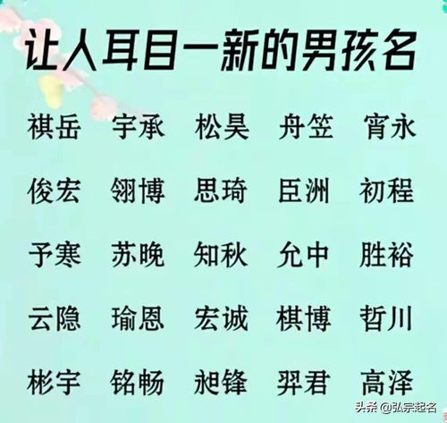 男婴儿取名字大全