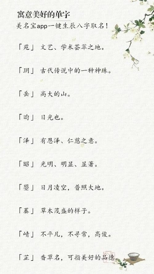 名字测算免费