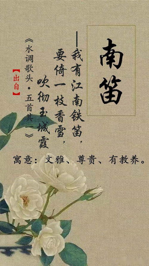 了解依瑶起名文化的深意