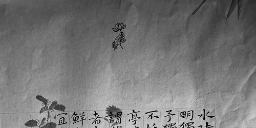 职场老人的建议勤琴起名的文化