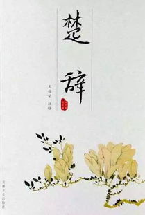 一、市场调研