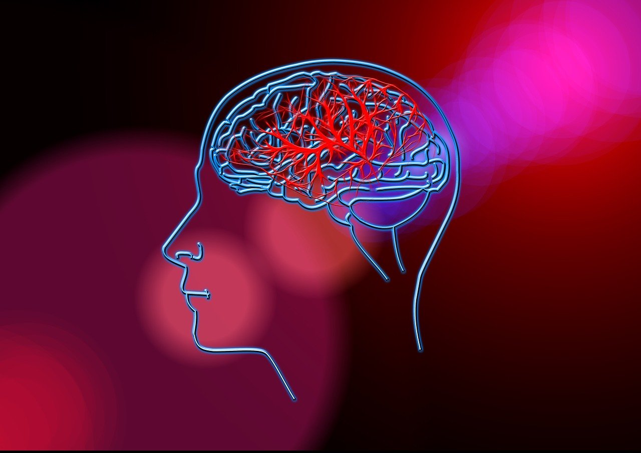 张姓新生儿起名的艺术与科学，传统与现代的完美融合