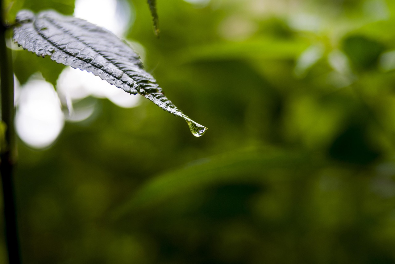 天水疫情最新动态，数据解读与防控措施