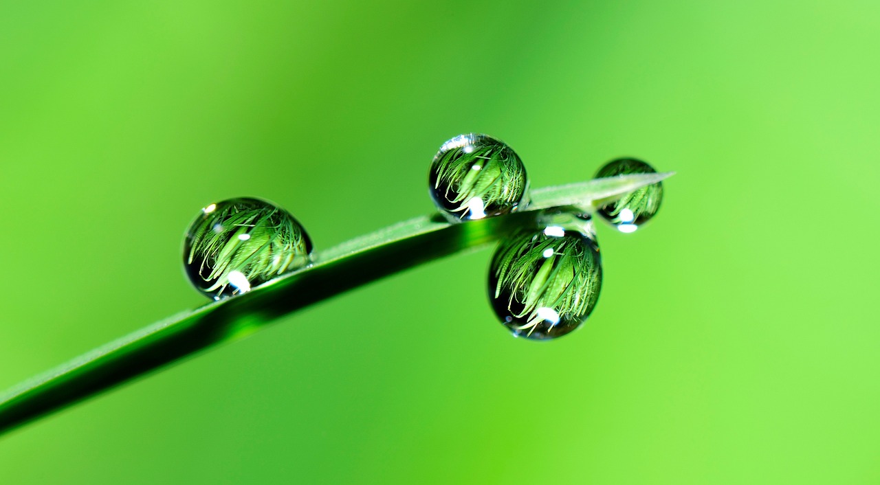 探索雨的诗意，雨取名字的寓意与文化含义