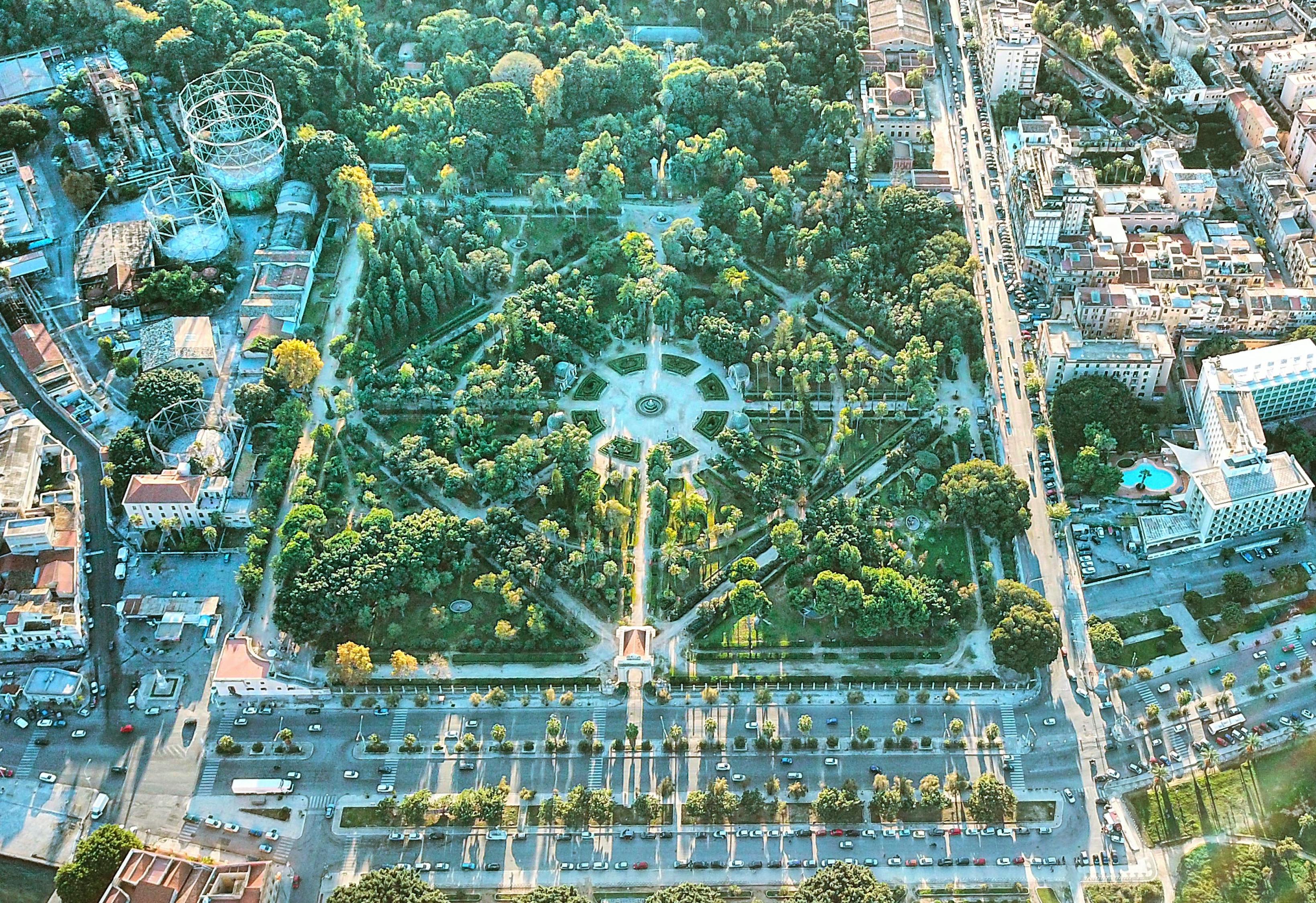 临沂费县疫情最新消息，共同守护我们的健康家园