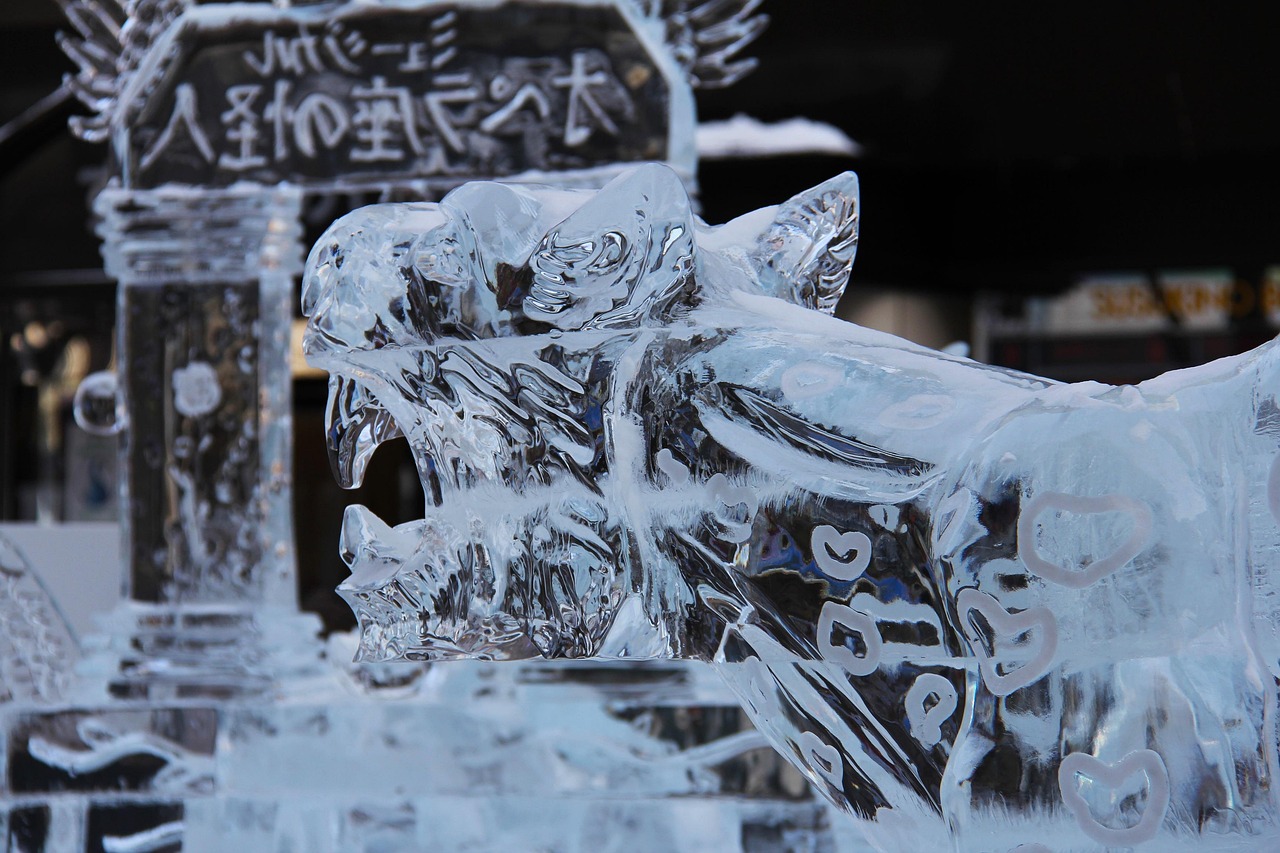 冰雪盛宴，北京冬奥会的日日夜夜