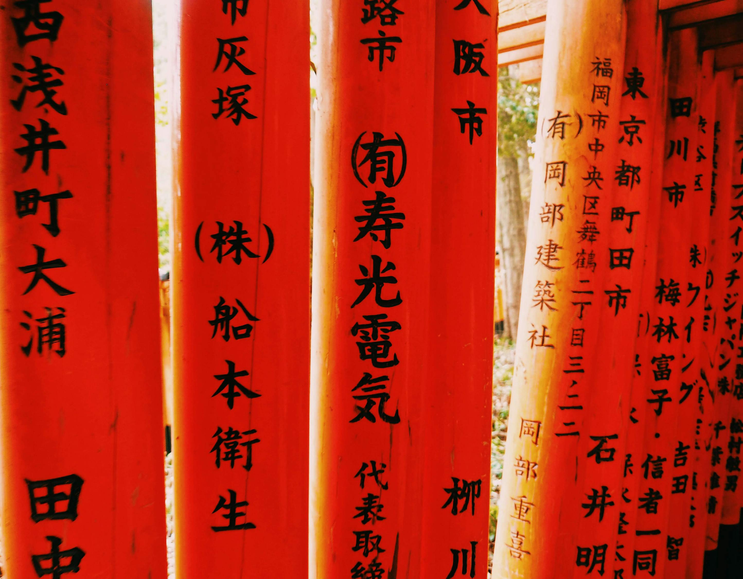 文化创意的无限可能，探索论文写作的多彩世界